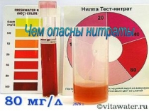 Проект Чем опасны нитраты