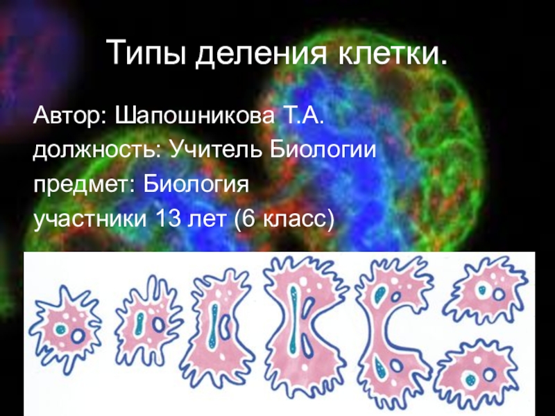 Типы деления. Виды деления клеток. Деление клетки Мем. Существуют три вида клеточного деления. Злокачественные деление вид деления.