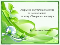 Презентация к открытому внеурочному занятию на тему Что растет на лугу
