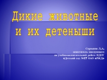 Презентация по лексической теме Дикие животные