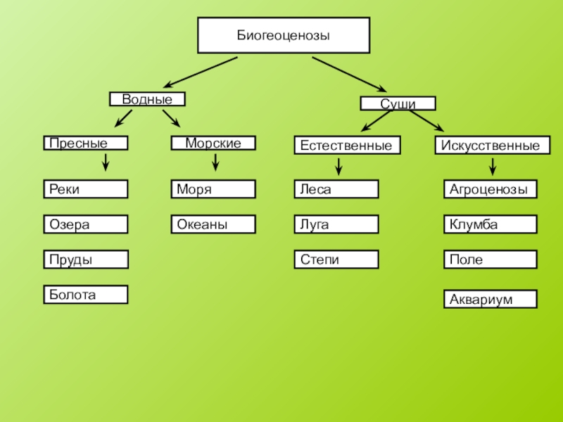 Биогеоценоз схема по биологии
