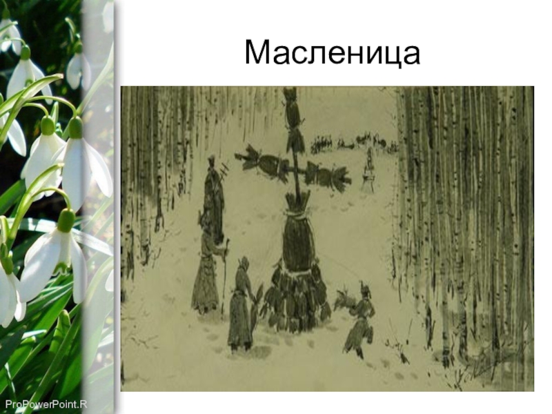 Бунин подснежник слушать. Бунин Подснежник иллюстрация. Бунин и. "Подснежник". Иллюстрация к рассказу Бунина Подснежник.