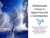 Презентация исследовательской работы Зимующие птицы в окрестностях с. Селиярово