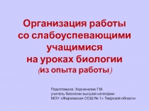 Организация работы со слабоуспевающими учащимися на уроках биологии (из опыта работы)