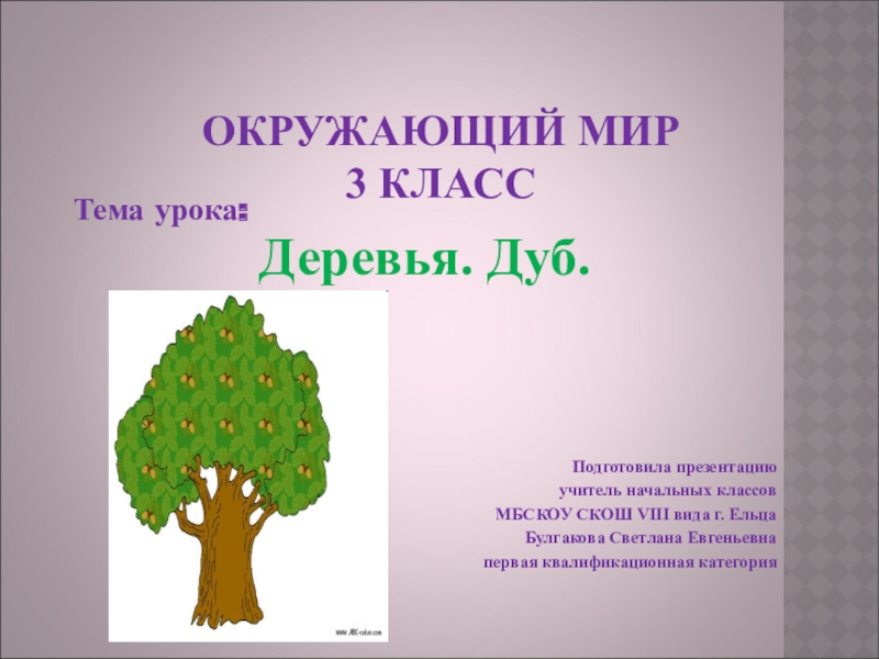 ОКРУЖАЮЩИЙ МИР 3 КЛАСС Тема урока: Деревья. Дуб.