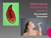 Презентация по ОП. 04 Медицинская паразитология на тему Описторх