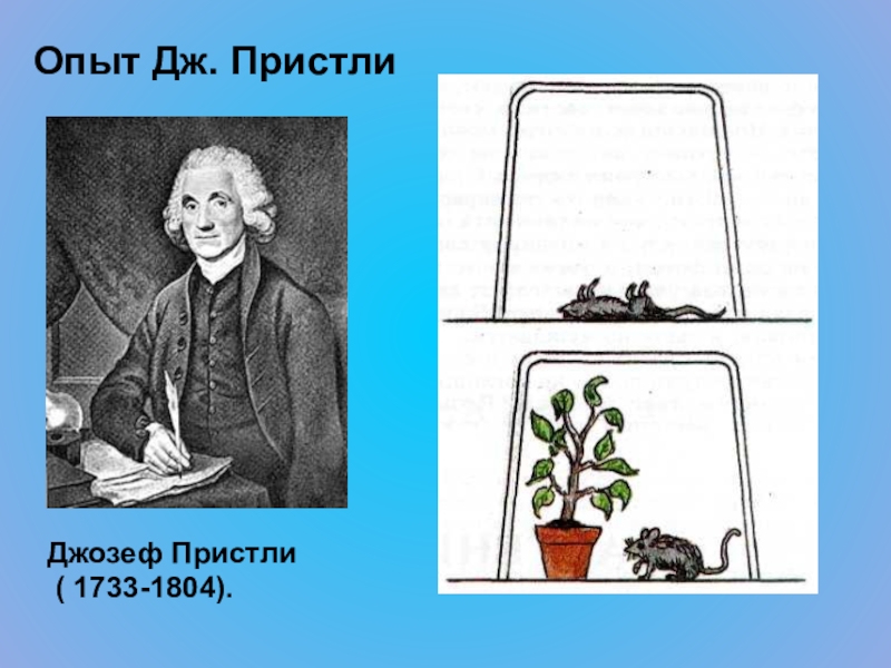 Небольшой опыт. Джозеф Пристли 1733 1804. Пристли (1733-1804). Опыт Пристли (1733-1804). Джозеф Пристли вклад в биологию.