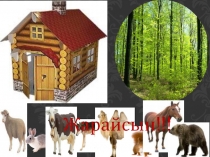 Презентация по казахскому языку Үй жануарлары мен жабайы аңдар