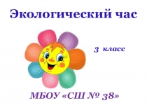 Презентация по внеурочной деятельности. Экологический час