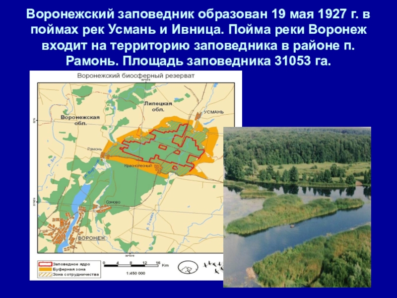 Схема воронежского заповедника