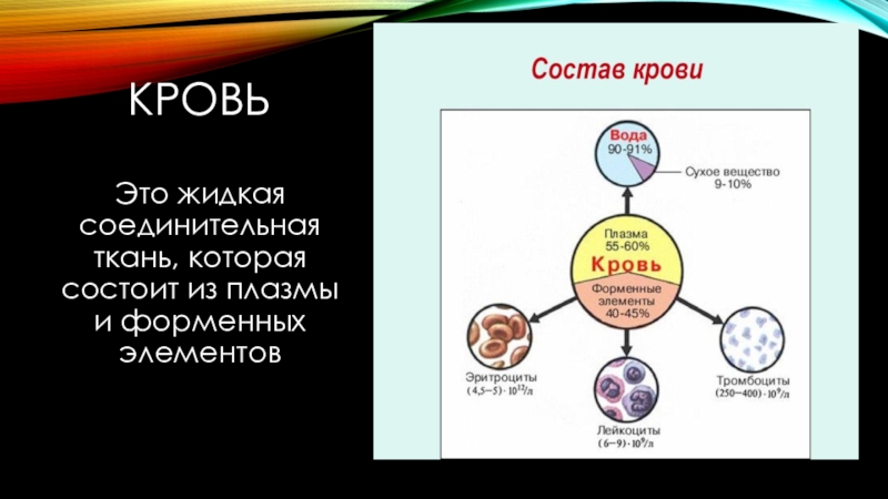 Презентация 8 класс внутренняя. Кровь жидкая соединительная ткань. Жидкая соединительная (кровь). Кровь это жидкая ткань состоящая из форменных элементов. Плазма в соединительной ткани.