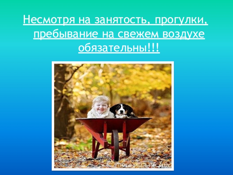 Несмотря на занятость, прогулки, пребывание на свежем воздухе обязательны!!!