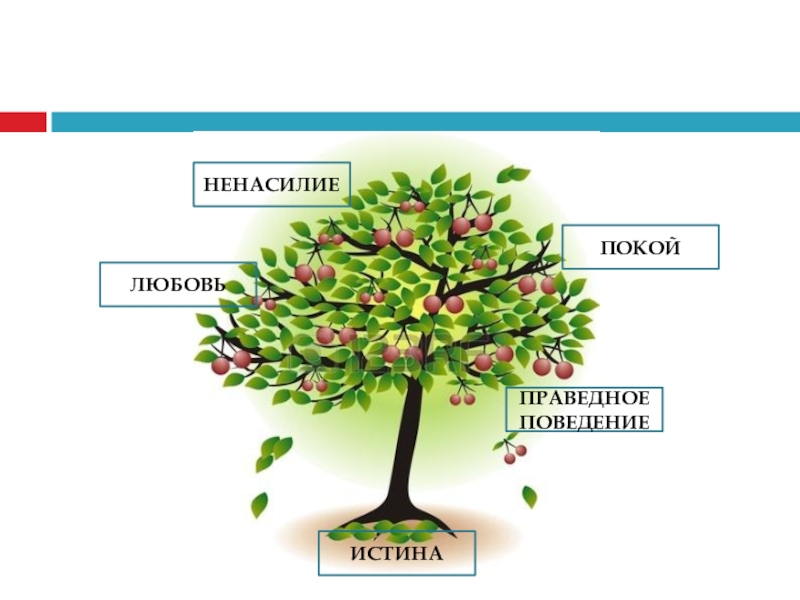 Основа содержания