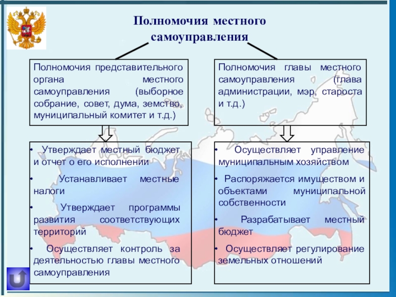 Местное самоуправление проект