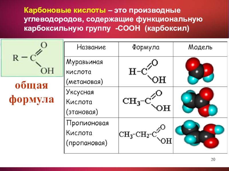 Индивидуальный проект карбоновые кислоты