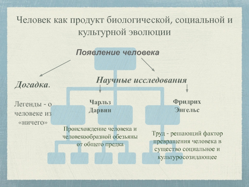 Человек продукт биологической эволюции