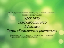 Презентация по окружающему миру Комнатные растения 2класс