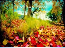 Презентация по английскому языку мир Цветов