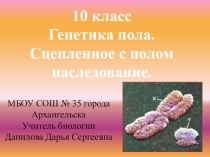 Презентация по биологии для 10 класса Генетика пола. Сцепленное с полом наследование