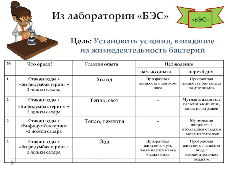 Презентация по биологии 6 класс общая характеристика бактерий