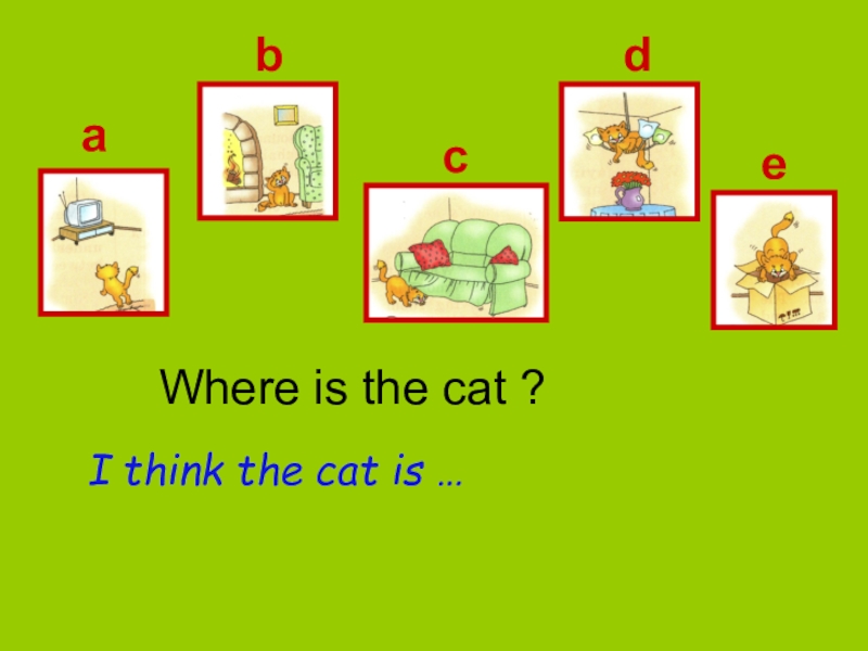 Where is the box. Where is the Cat. Where is the Cat the Cat is. Where is the Cat 2 класс. Английский язык 2 класс where is a Cat презентация.