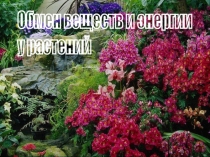 Обмен веществ у животных