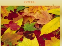 ПРЕЗЕНТАЦИЯ к УРОКУ РАЗВИТИЯ РЕЧИ ПУТЕШЕСТВЕННИЦА во 2 классе