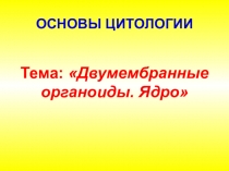 Презентация по биологии на тему:  Клеточное ядро
