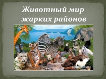 Презентация по окружающему миру на тему Где живут слоны? (1 класс)