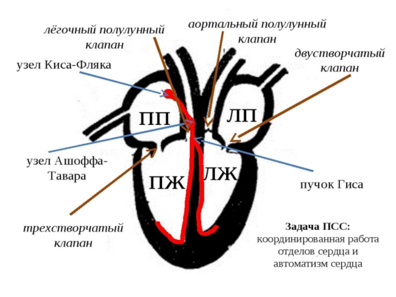 Из каких элементов состоит схема