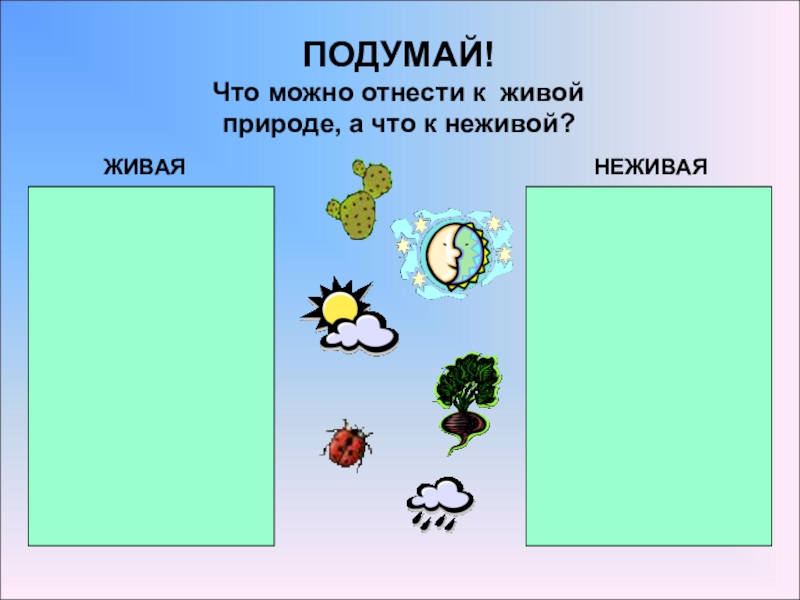 Край в котором ты живешь задания