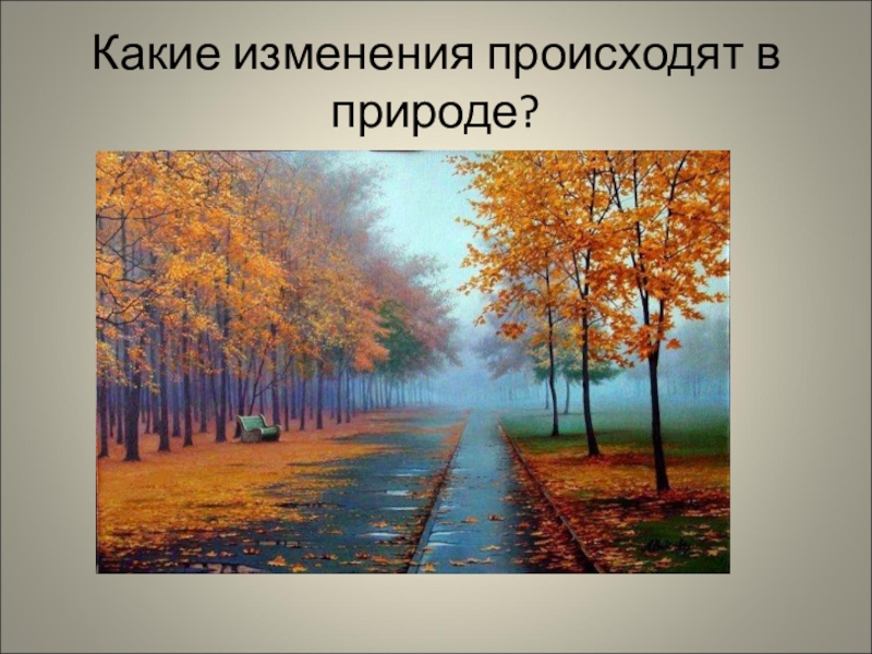 Презентация сезонные изменения в природе родного края