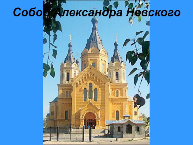 Собор Александра Невского