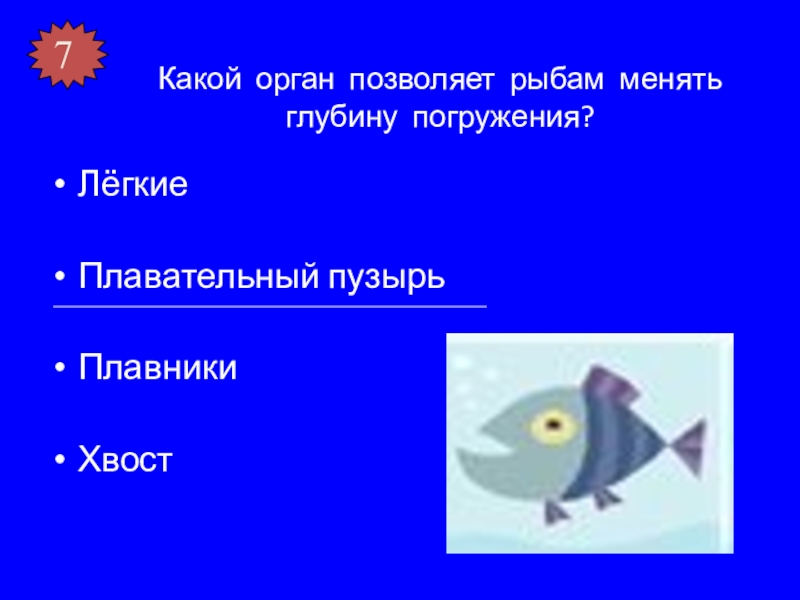 Какая рыба может менять пол на противоположный. Как рыбы регулируют глубину погружения. Максимальная глубина погружения рыбы. Формула рыбы. Органы регулирующие глубину погружения рыб.