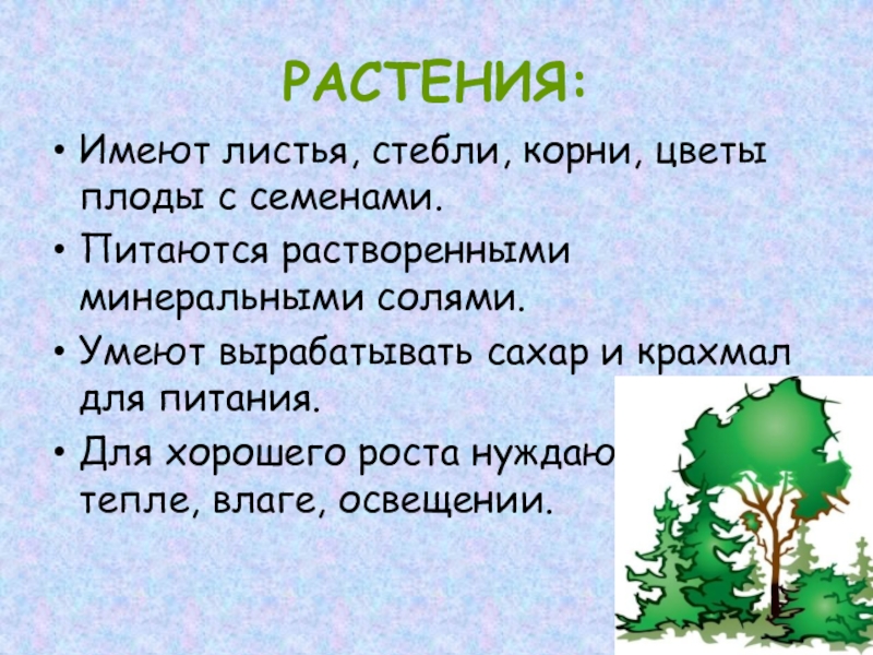 РАСТЕНИЯ:Имеют листья, стебли, корни, цветы плоды с семенами.Питаются растворенными минеральными солями.Умеют вырабатывать сахар и крахмал для питания.Для