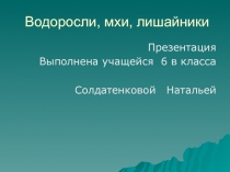 Лишайники, мхи