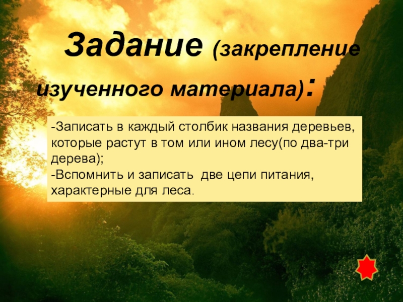 Лес другими словами. Проект по окружающему миру на тему леса России. 4 Класс - сообщение на тему леса России, 10 столбиков..