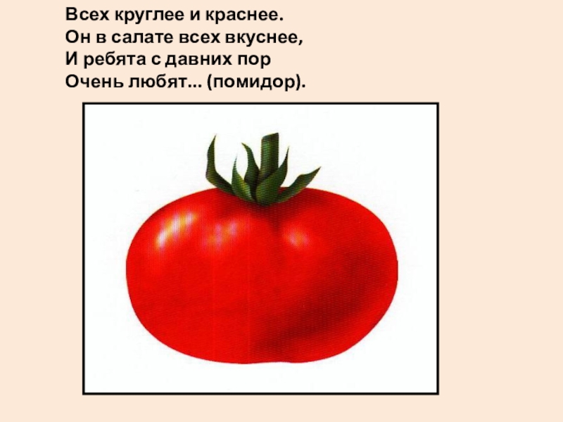 Красные загадки. Загадка про помидор. Загадка про помидор для детей. Томат загадка. Детская загадка про помидор.