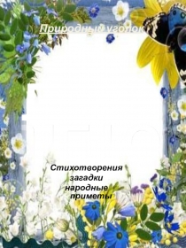 Презентация для уголка природы по теме Лето