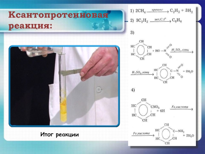 Ксантопротеиновая реакция схема реакции