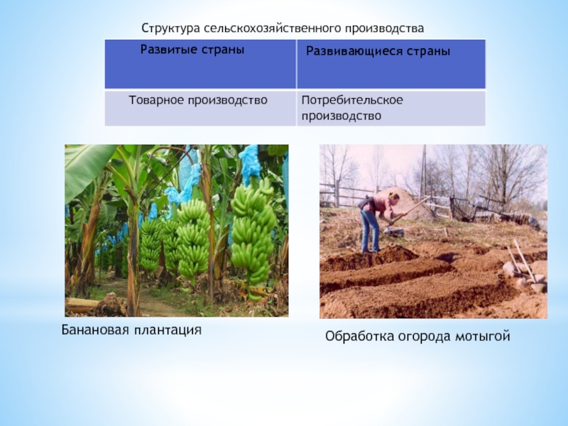 Примеры стран с аграрной структурой