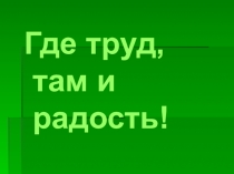 Презентация по русскому языку на тему Глагол