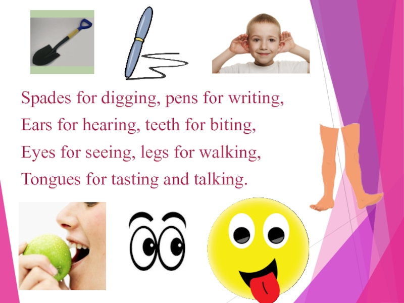 Spades for digging, pens for writing,Ears for hearing, teeth for biting,Eyes for seeing, legs for walking,Tongues for