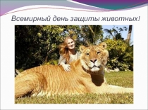Час общения на тему день защиты животных