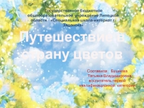 Презентация к конспекту занятия Путешествие в страну цветов.