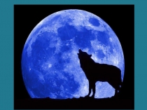 Презентация по члитературному чтению на тему А. П. Чехов. Белолобый