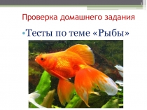 Презентация по биологии на тему Класс Земноводные или Амфибии (7 класс)