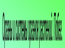 Презентация по биологии на тему Органы и системы органов растений. Побег