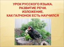 Обучающее изложение по коллективно составленному плану. 4 класс.