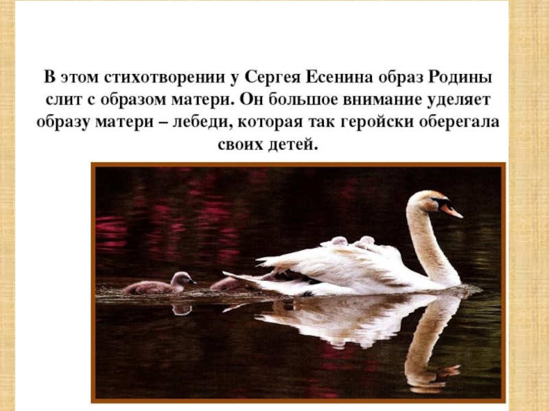 Главная мысль стихотворения лебедушка есенин. Лебёдушка Есенин 4 класс.
